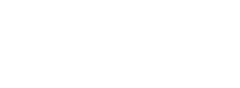 Pioneer Lab Logo weiss 1